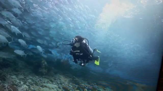 生物做实验时为什么要测算平均值?游戏画面